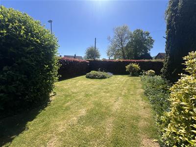 Picture 29
